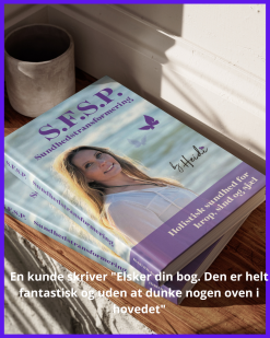 Alternative view of S.F.S.P. Sundhedstransformering - bogen