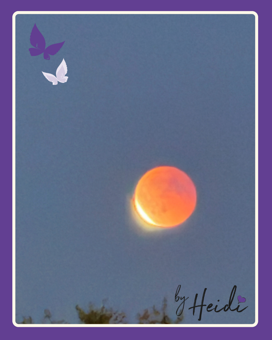 healingsmeditation sfsp